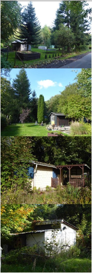 Foto 9 von 10 — land- und forstwirtschaftlich genutztes Grundstück