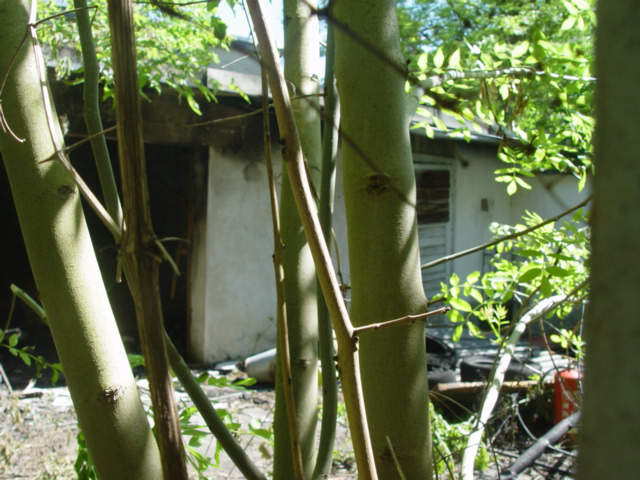 Foto 6 von 7 — Mehrfamilienhaus, zweigeschossig