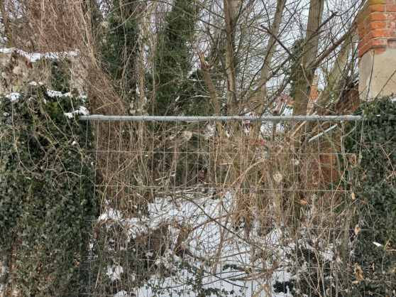 Foto 7 von 8 — Wohn-/Geschäftshaus, zweigeschossig