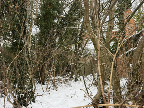 Foto 8 von 8 — Wohn-/Geschäftshaus, zweigeschossig
