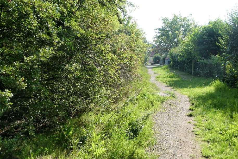 Foto 5 von 10 — unbebautes Grundstück