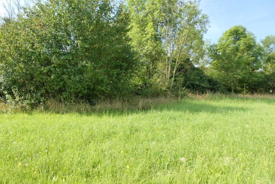 Foto 7 von 10 — unbebautes Grundstück