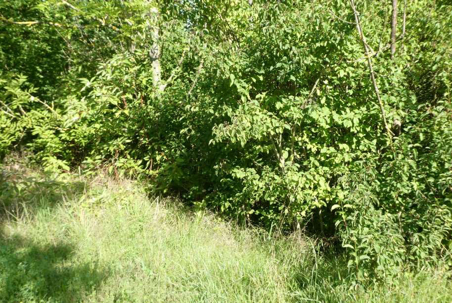 Foto 6 von 10 — unbebautes Grundstück