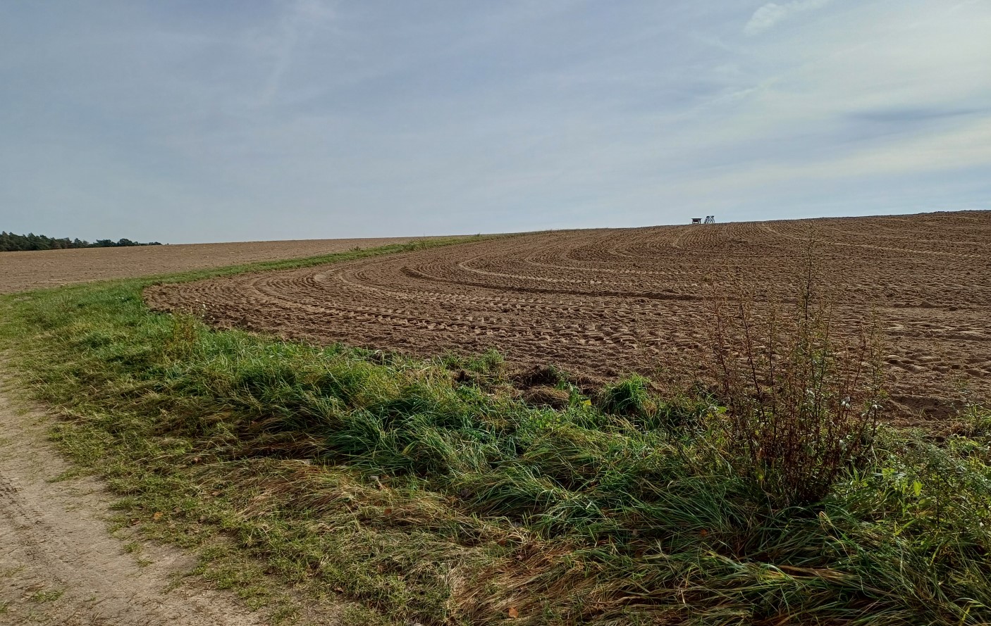 Foto 1 von 1 — land- und forstwirtschaftlich genutztes Grundstück