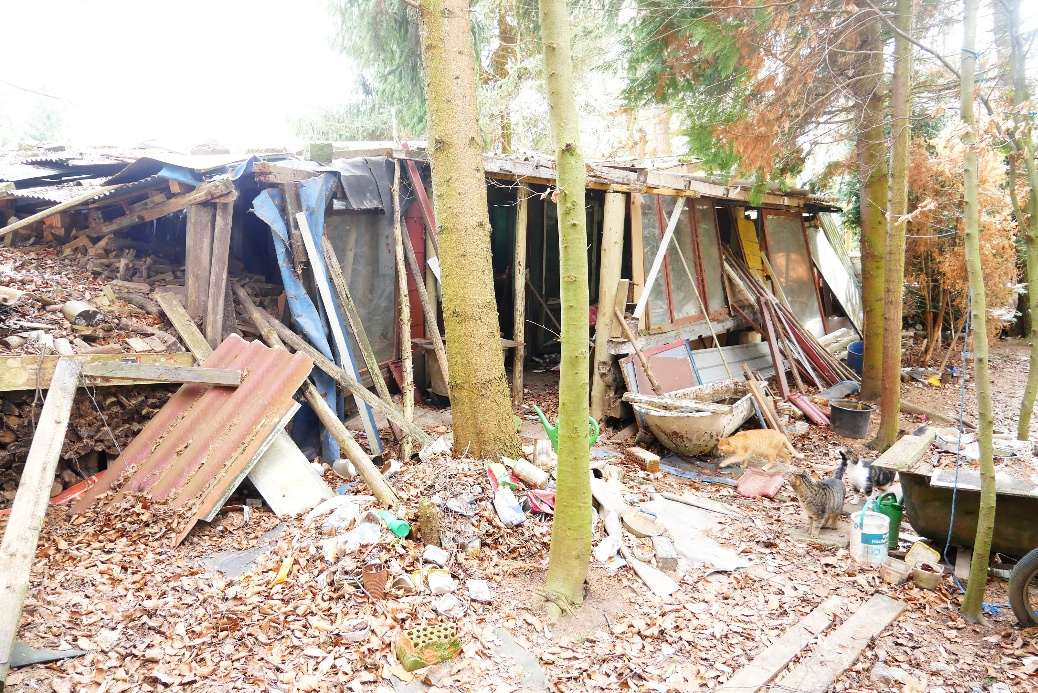 Foto 4 von 13 — Einfamilienhaus, Garage, land- und forstwirtschaftlich genutztes Grundstück