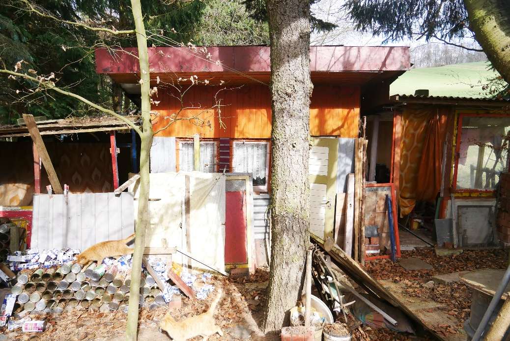 Foto 2 von 13 — Einfamilienhaus, Garage, land- und forstwirtschaftlich genutztes Grundstück