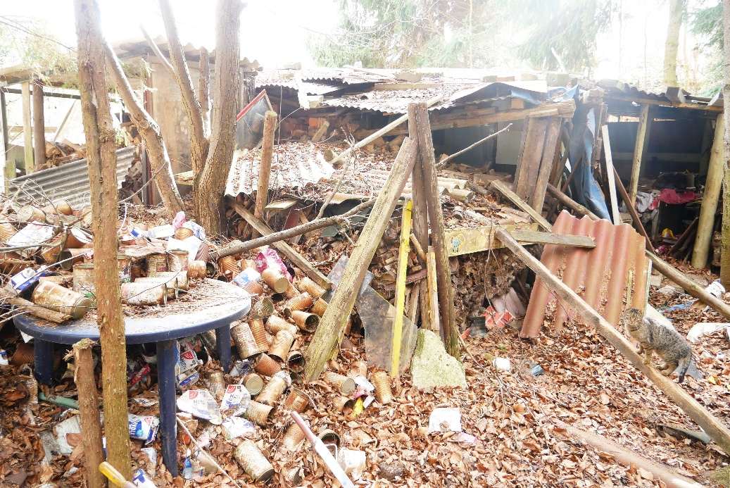 Foto 5 von 13 — Einfamilienhaus, Garage, land- und forstwirtschaftlich genutztes Grundstück