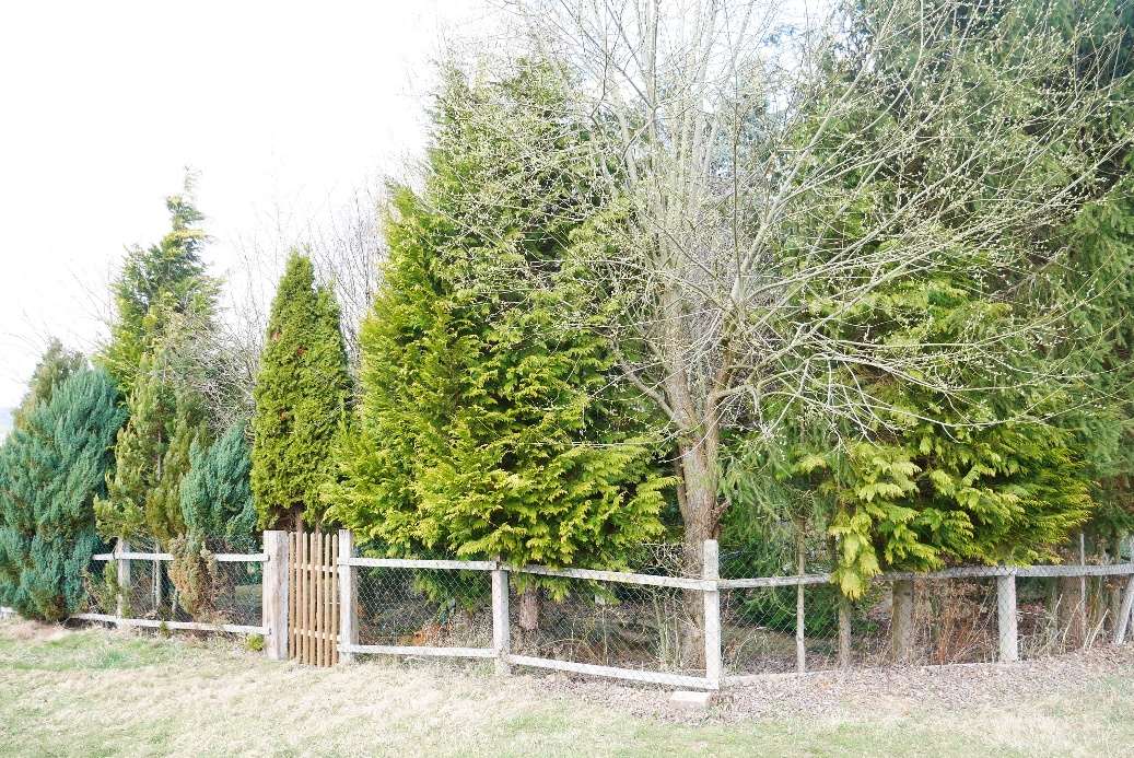 Foto 1 von 13 — Einfamilienhaus, Garage, land- und forstwirtschaftlich genutztes Grundstück