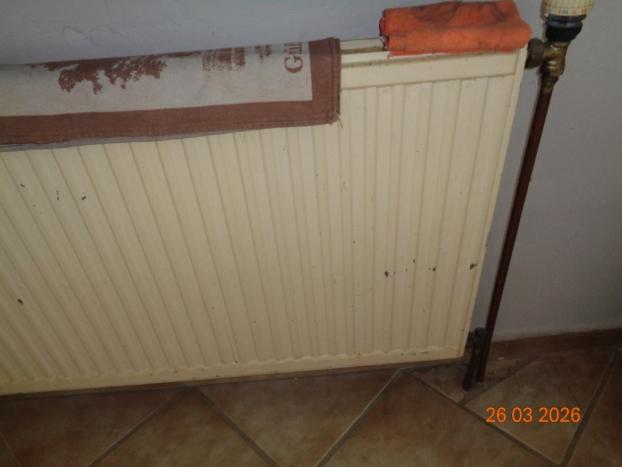 Foto 10 von 24 — Einfamilienhaus