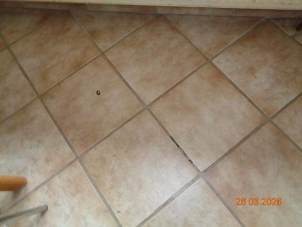 Foto 12 von 24 — Einfamilienhaus