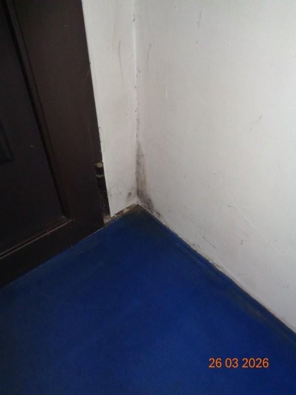 Foto 22 von 24 — Einfamilienhaus