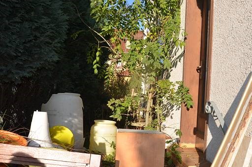 Foto 9 von 11 — Einfamilienhaus