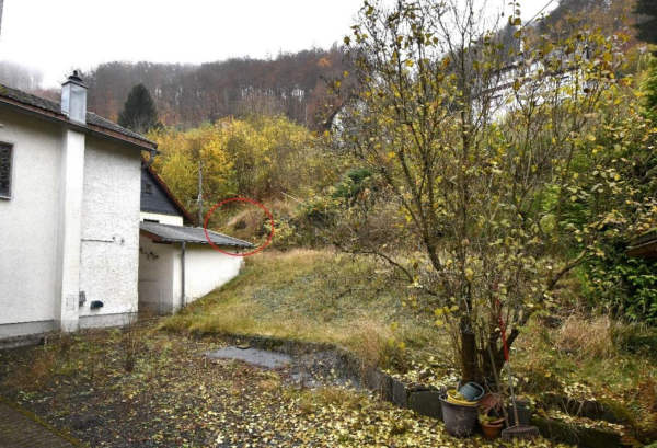 Foto 3 von 45 — land- und forstwirtschaftlich genutztes Grundstück, land- und forstwirtschaftlich genutztes Grundstück, Einfamilienhaus