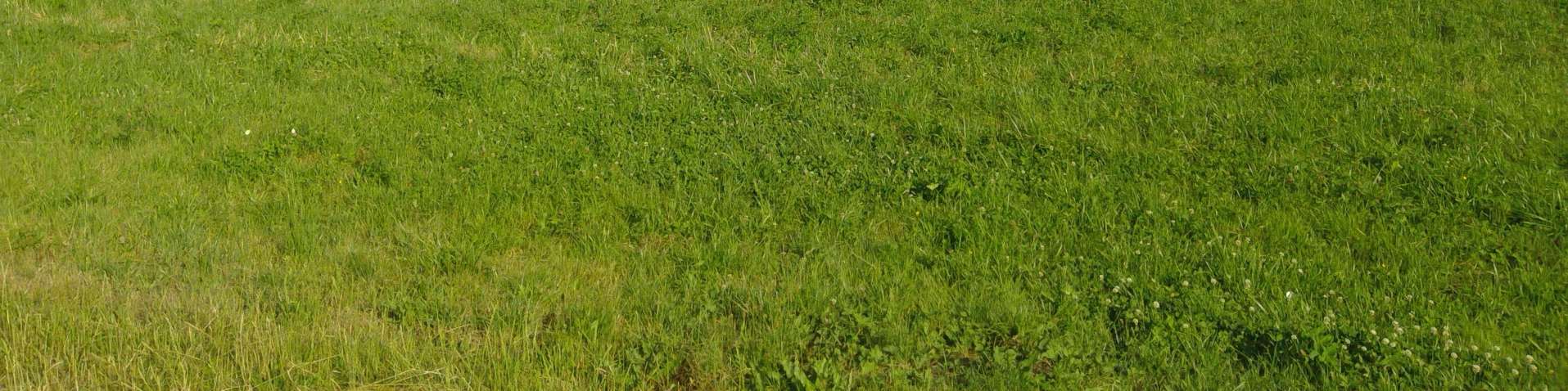 Foto 24 von 31 — Einfamilienhaus