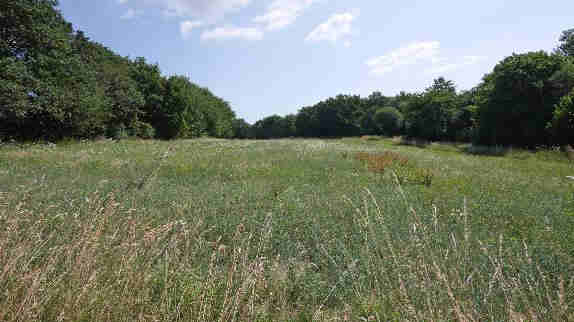 Foto 15 von 21 — land- und forstwirtschaftlich genutztes Grundstück