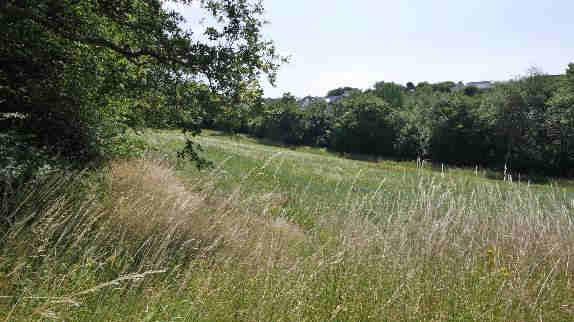 Foto 16 von 21 — land- und forstwirtschaftlich genutztes Grundstück