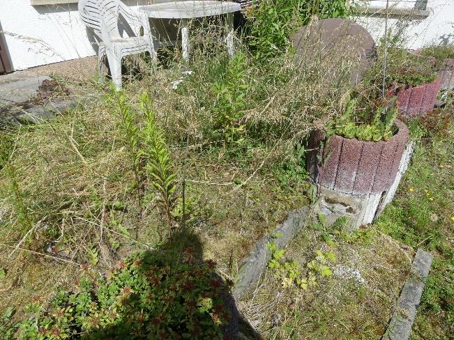 Foto 2 von 25 — Einfamilienhaus