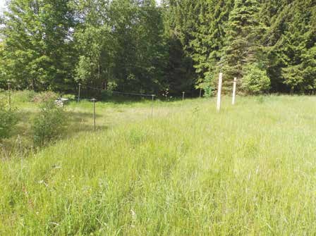 Foto 17 von 18 — Mehrfamilienhaus