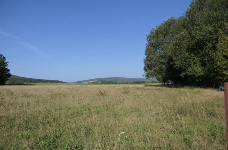 Foto 10 von 14 — unbebautes Grundstück