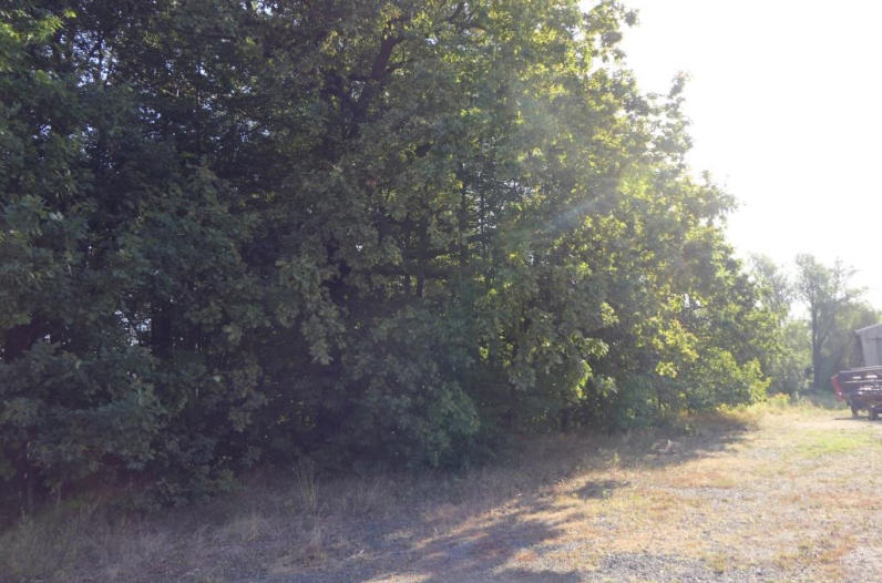 Foto 5 von 14 — unbebautes Grundstück