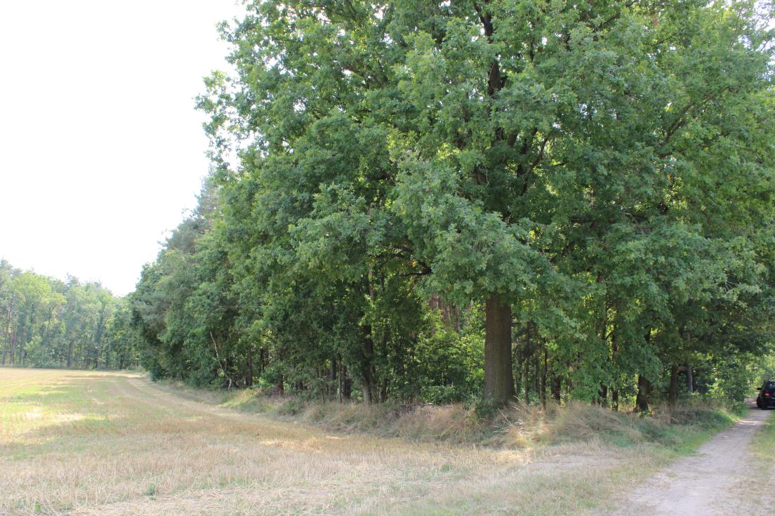 Foto 2 von 5 — Einfamilienhaus