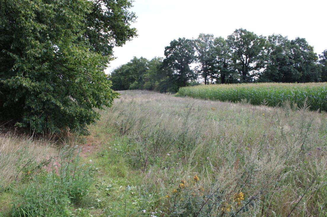 Foto 5 von 5 — Einfamilienhaus