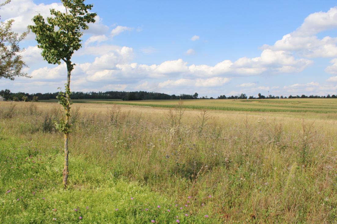 Foto 1 von 5 — Einfamilienhaus