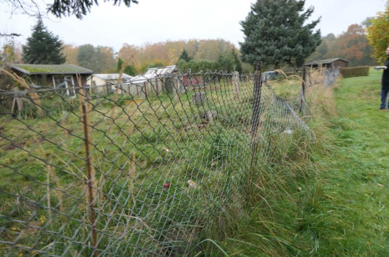 Foto 10 von 18 — Einfamilienhaus
