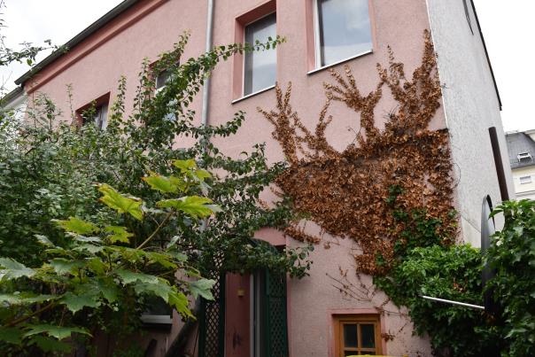 Foto 4 von 16 — Mehrfamilienhaus