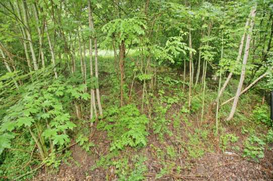 Foto 2 von 16 — Mehrfamilienhaus