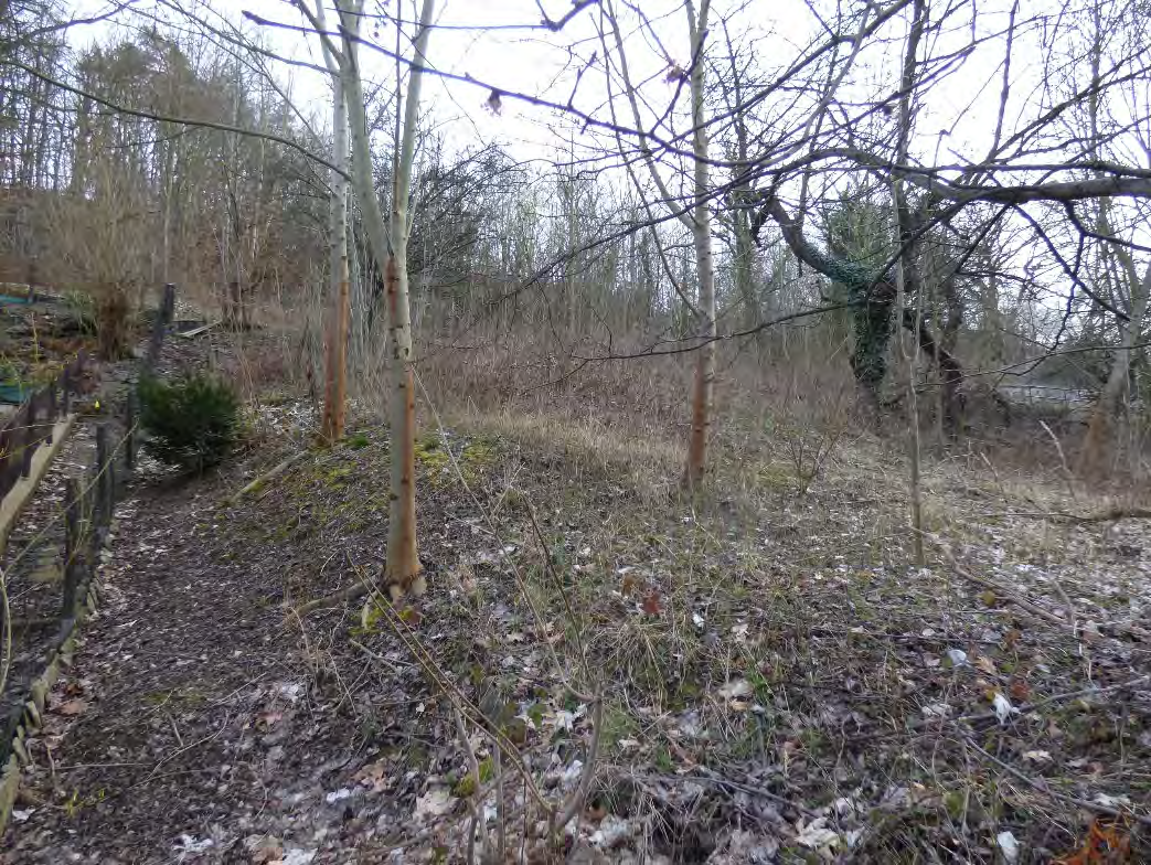 Foto 2 von 11 — unbebautes Grundstück