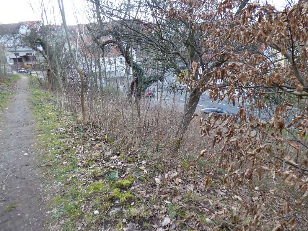 Foto 6 von 11 — unbebautes Grundstück