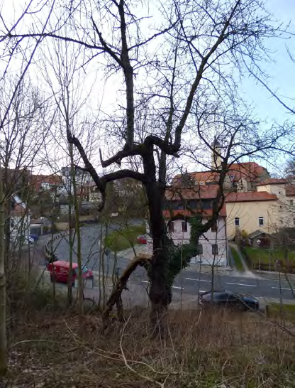 Foto 11 von 11 — unbebautes Grundstück