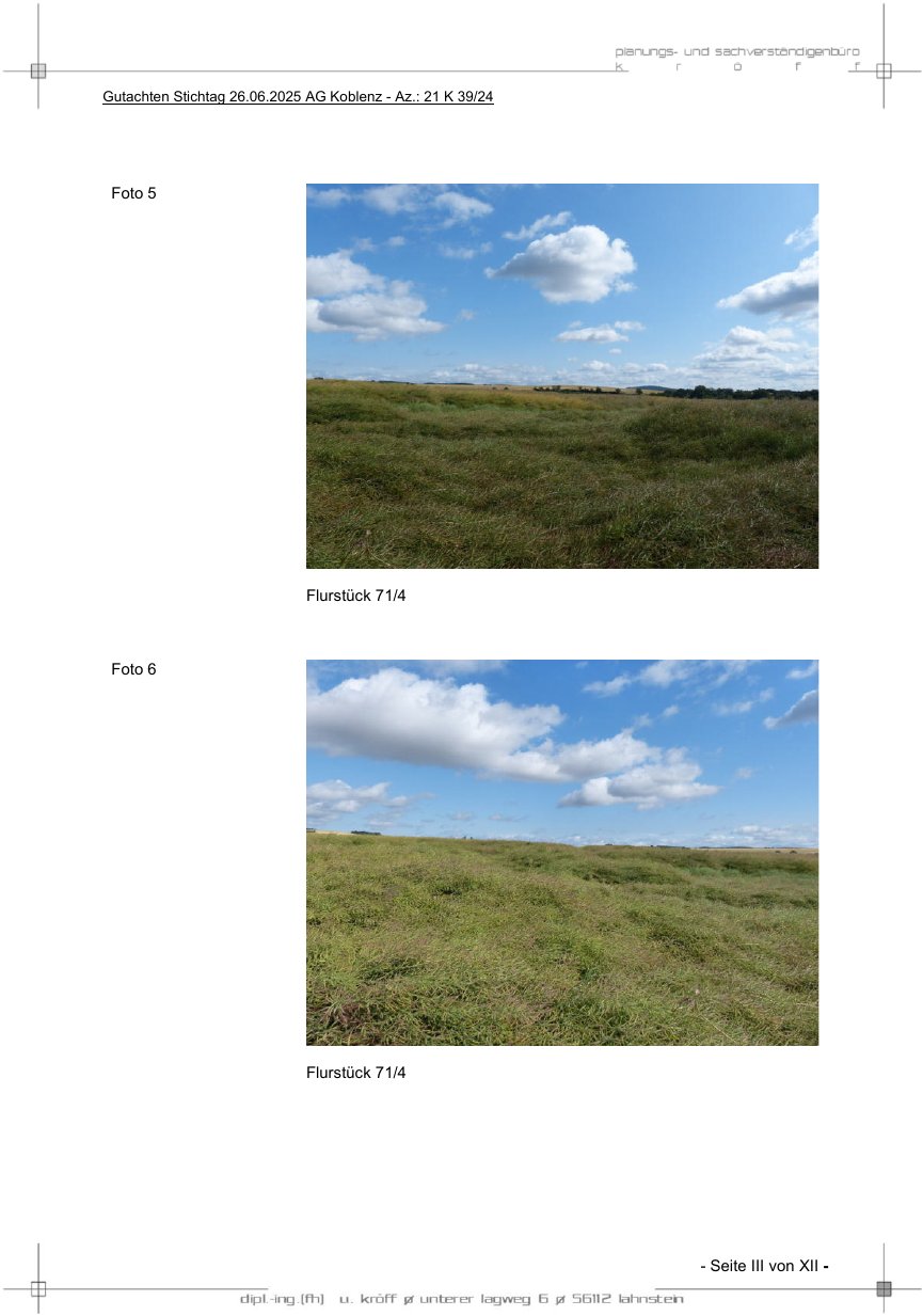 Foto 6 von 8 — land- und forstwirtschaftlich genutztes Grundstück