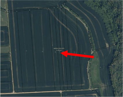 Foto 1 von 8 — land- und forstwirtschaftlich genutztes Grundstück