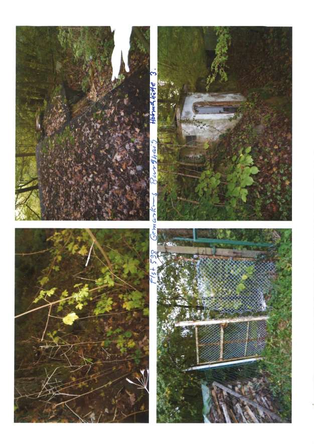 Foto 7 von 8 — land- und forstwirtschaftlich genutztes Grundstück