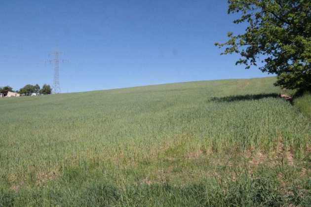 Foto 1 von 6 — land- und forstwirtschaftlich genutztes Grundstück