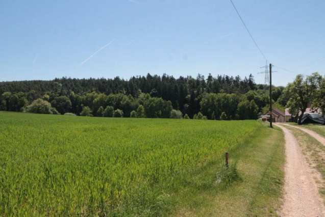 Foto 3 von 6 — land- und forstwirtschaftlich genutztes Grundstück