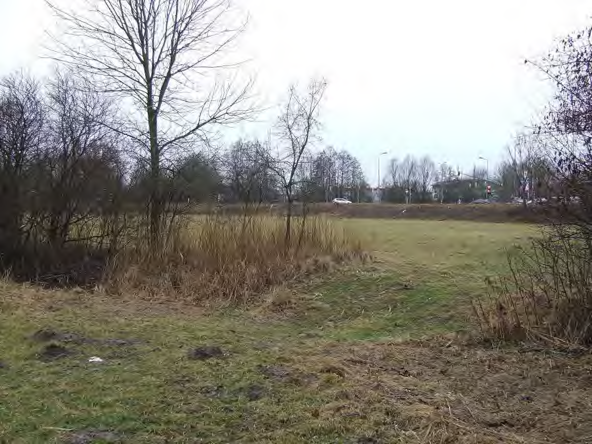 Foto 12 von 14 — Baugrundstück