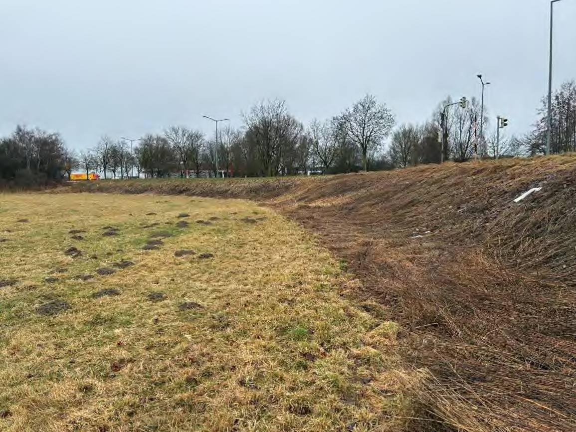 Foto 7 von 14 — Baugrundstück