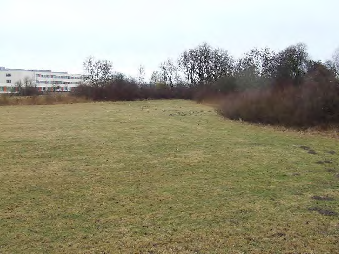 Foto 10 von 14 — Baugrundstück
