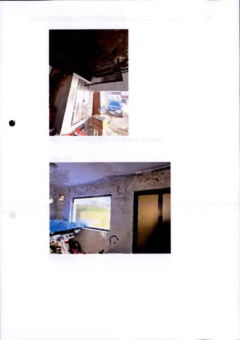 Foto 47 von 114 — Einfamilienhaus, Nebengebäude, Doppelgarage