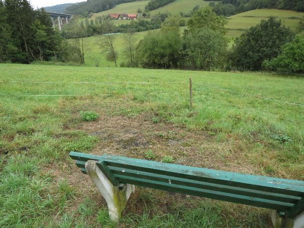 Foto 4 von 4 — land- und forstwirtschaftlich genutztes Grundstück