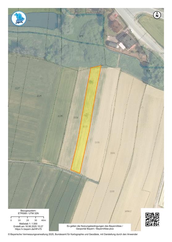 Foto 11 von 21 — unbebautes Grundstück, land- und forstwirtschaftlich genutztes Grundstück