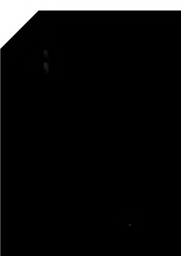 Foto 46 von 96 — land- und forstwirtschaftlich genutztes Grundstück