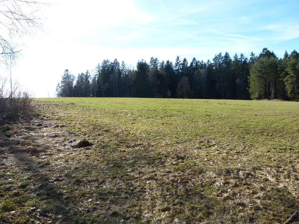 Foto 16 von 26 — unbebautes Grundstück