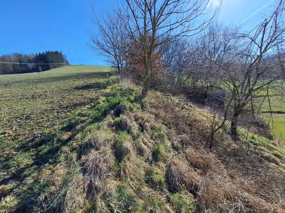 Foto 15 von 52 — Einfamilienhaus