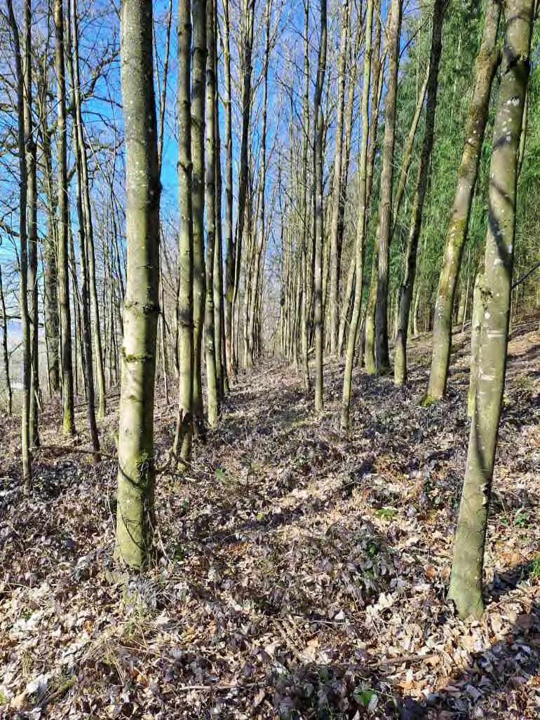 Foto 28 von 52 — Einfamilienhaus