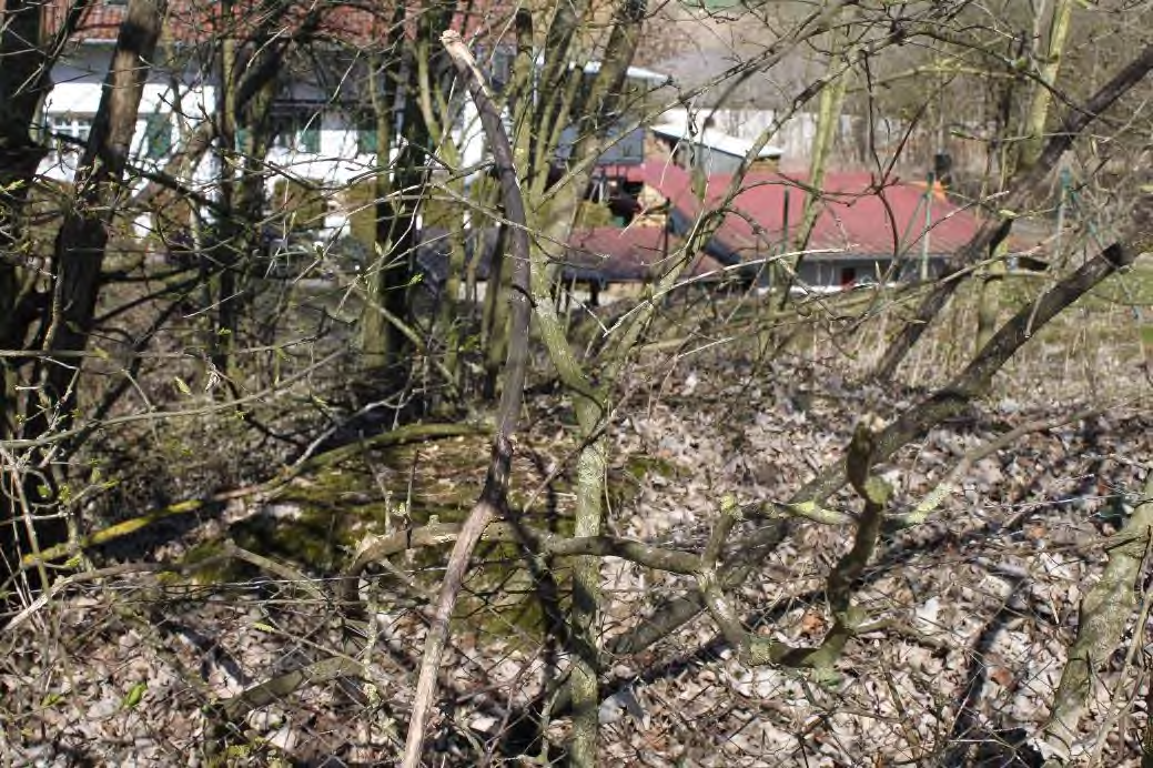 Foto 44 von 52 — Einfamilienhaus