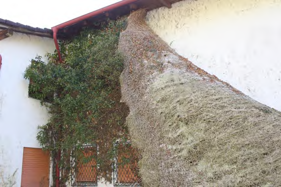 Foto 31 von 52 — Einfamilienhaus